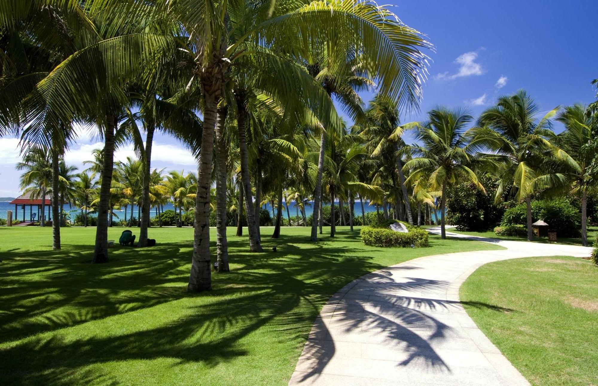 Yalong Bay Mangrove Tree Resort Sanya Esterno foto